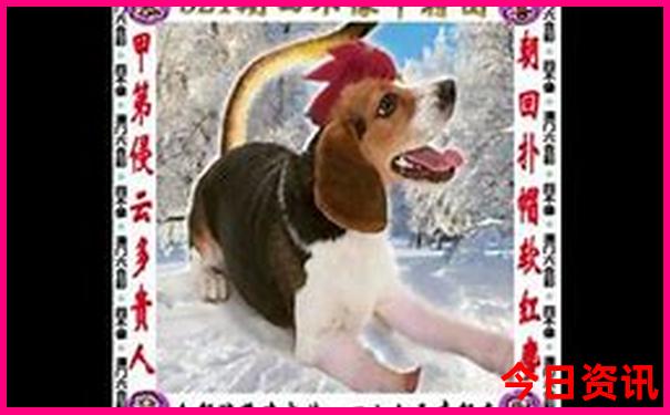 值得去的国内旅游城市